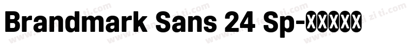 Brandmark Sans 24 Sp字体转换